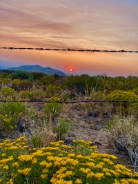 Original reference photo