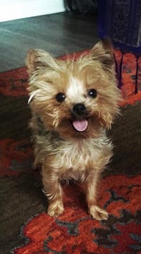 Original reference photo