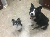 Original reference photo