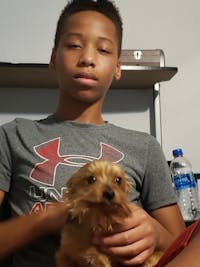 Original reference photo