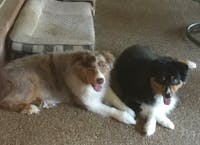 Original reference photo