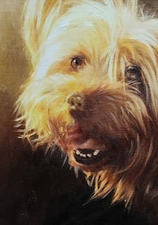 Mixed media oil painting of a very hairy dog