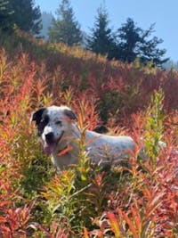 Original reference photo