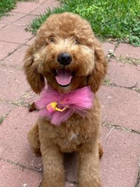 Original reference photo