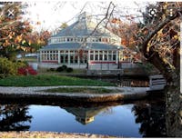 Original reference photo