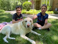 Original reference photo