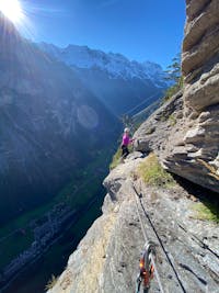 Original reference photo