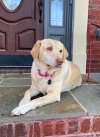 Original reference photo