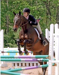 Original reference photo