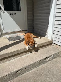 Original reference photo