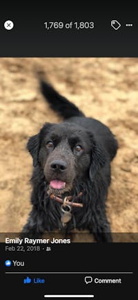 Original reference photo