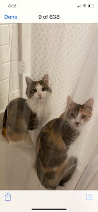 Original reference photo