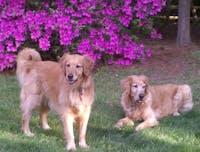 Original reference photo