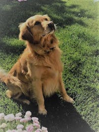 Original reference photo