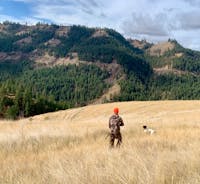 Original reference photo