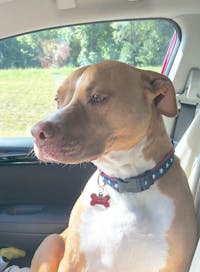 Original reference photo