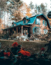 Original reference photo