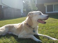 Original reference photo