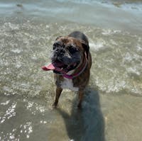 Original reference photo