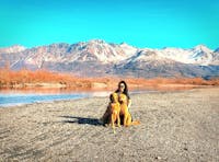 Original reference photo