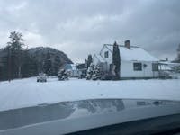 Original reference photo