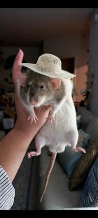 Original reference photo