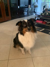 Original reference photo