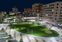 Original reference photo