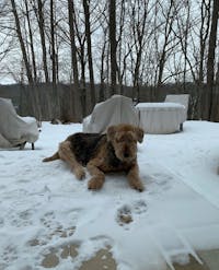 Original reference photo