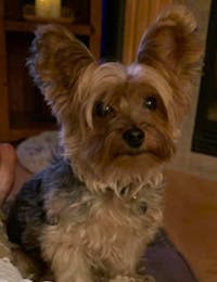 Original reference photo