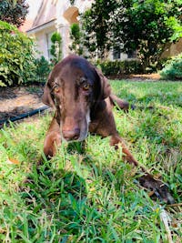 Original reference photo