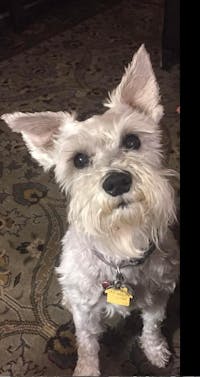 Original reference photo