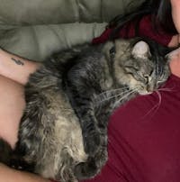 Original reference photo