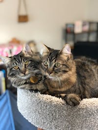 Original reference photo