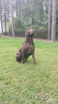 Original reference photo