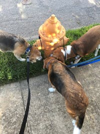 Original reference photo