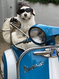 Original reference photo