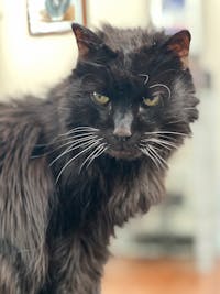 Original reference photo