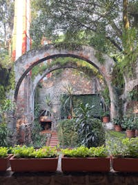 Original reference photo