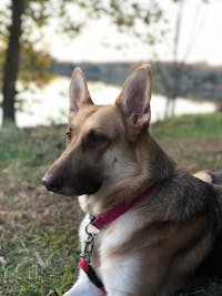 Original reference photo