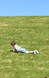 Original reference photo