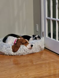 Original reference photo