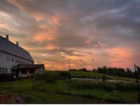 Original reference photo