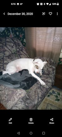 Original reference photo