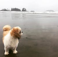 Original reference photo