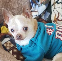 Original reference photo