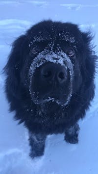 Original reference photo