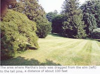 Original reference photo