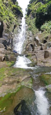 Original reference photo