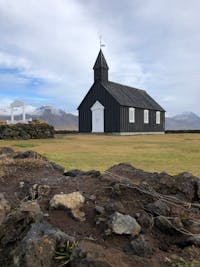 Original reference photo